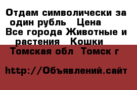 Отдам символически за один рубль › Цена ­ 1 - Все города Животные и растения » Кошки   . Томская обл.,Томск г.